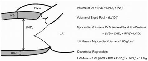 lv gram definition|lv mass calculation.